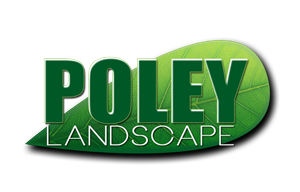 Logo Design by LaRuz Designs
