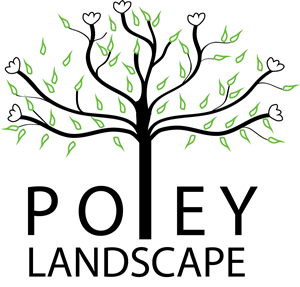 Logo Design by Nordgold