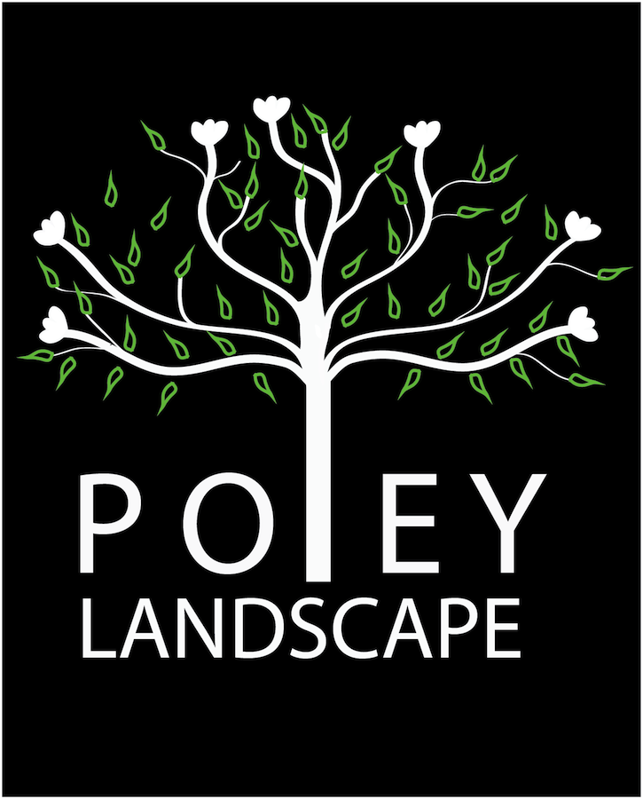 Logo Design by Nordgold for this project | Design #1773205