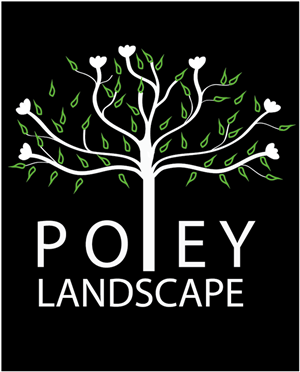 Logo Design by Nordgold for this project | Design: #1773205