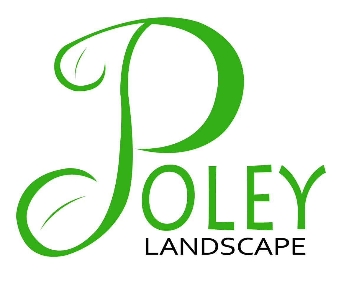 Diseño de Logo por sesyjane para este proyecto | Diseño #1736161