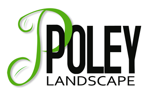 Logo-Design von sesyjane für dieses Projekt | Design: #1746248