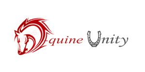 Logo Design by Dh Production By Aniqa