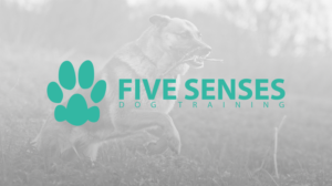 Logo Design by JordanCMPB for Five Senses Dog Training | Design #6753468