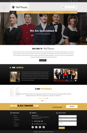 Black Diamond Agency Website Design | Web Design by Sbss