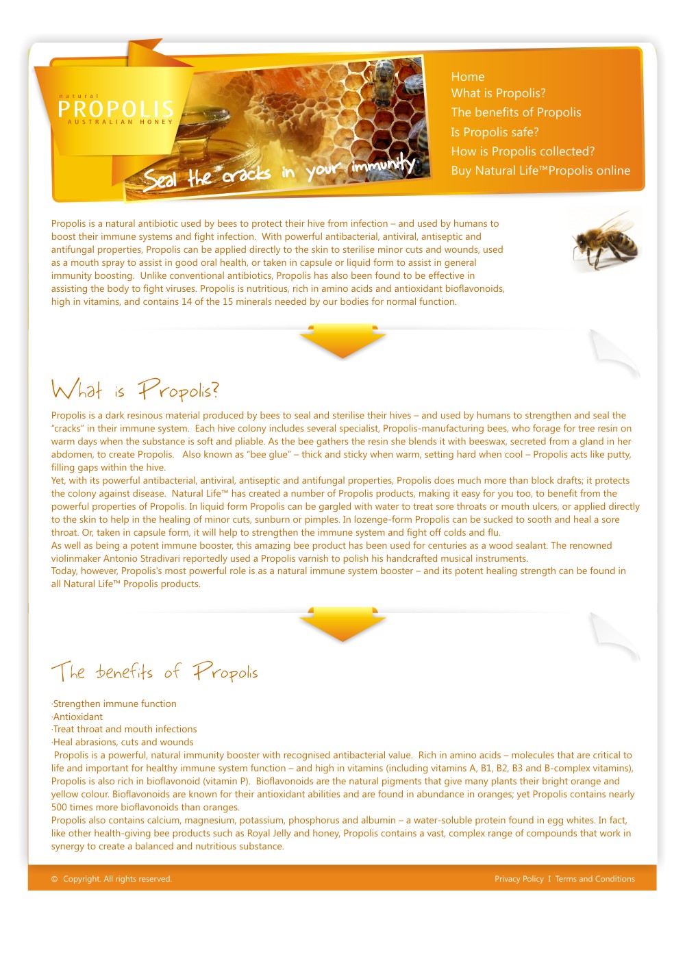 Web-Design von Oxana für dieses Projekt | Design #354937