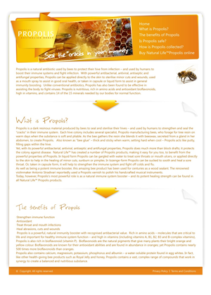 Web Design by Oxana