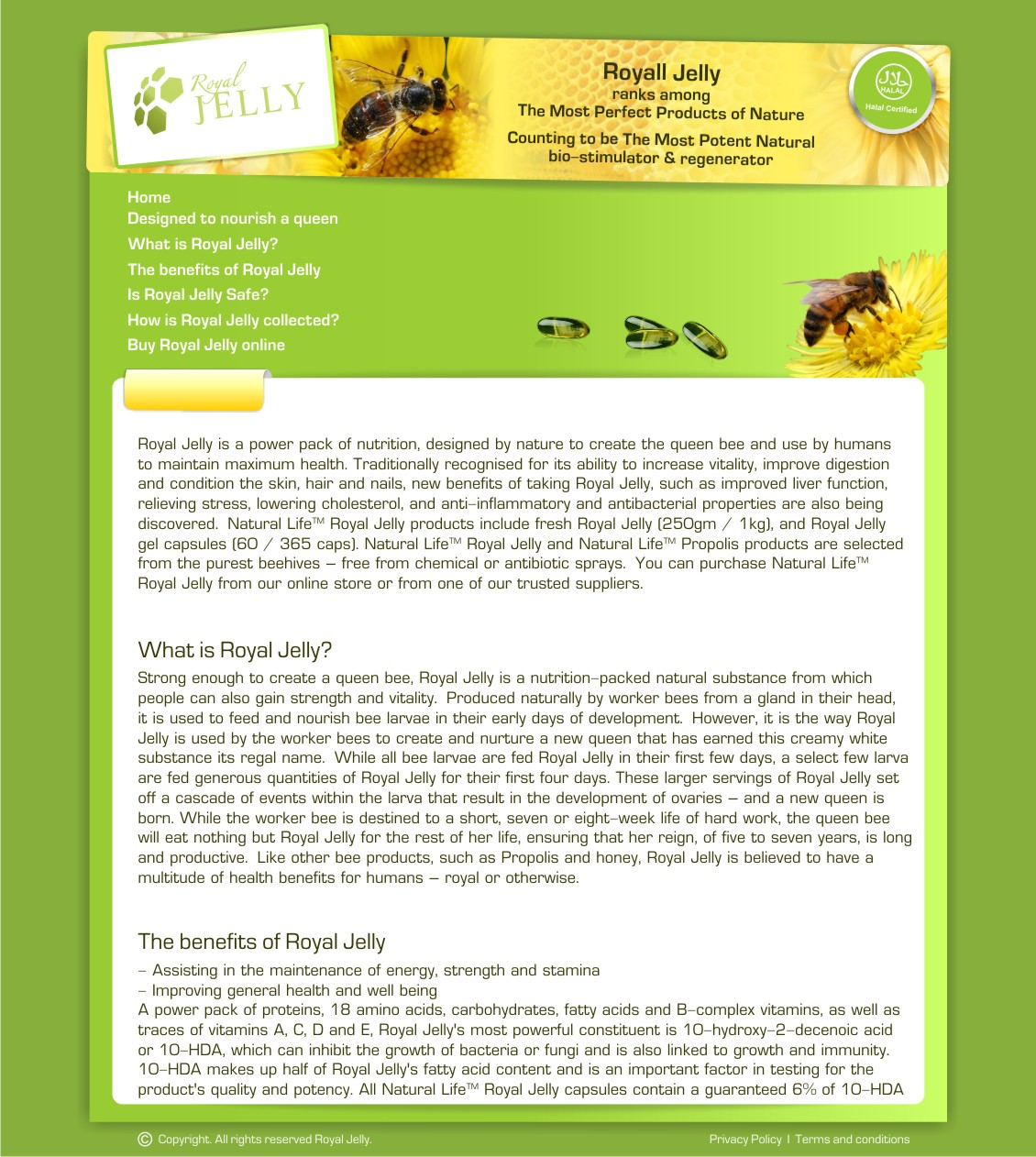 Web Design by Oxana for this project | Design #354939