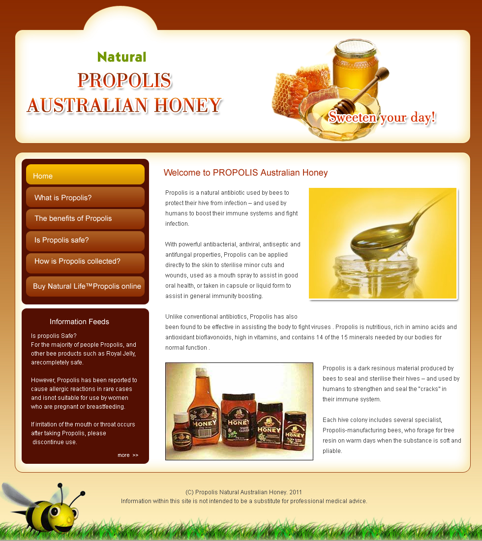 Web Design by pb for this project | Design #353543