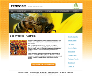 Web-Design von OM für dieses Projekt | Design: #359681