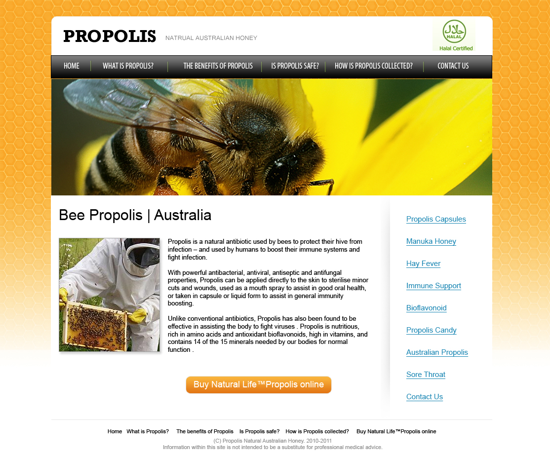 Web Design by OM for this project | Design #360096