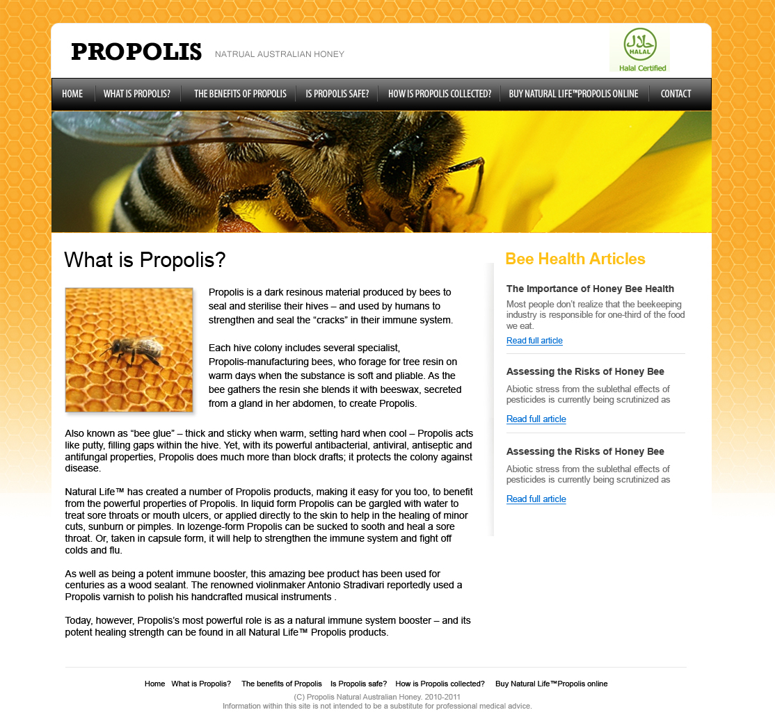 Web Design by OM for this project | Design #362097