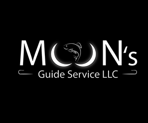 Logo Design by SyenrgyFX