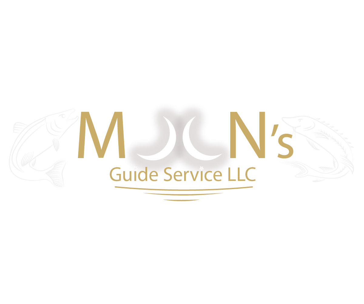 Logo Design by SyenrgyFX for this project | Design #1868756