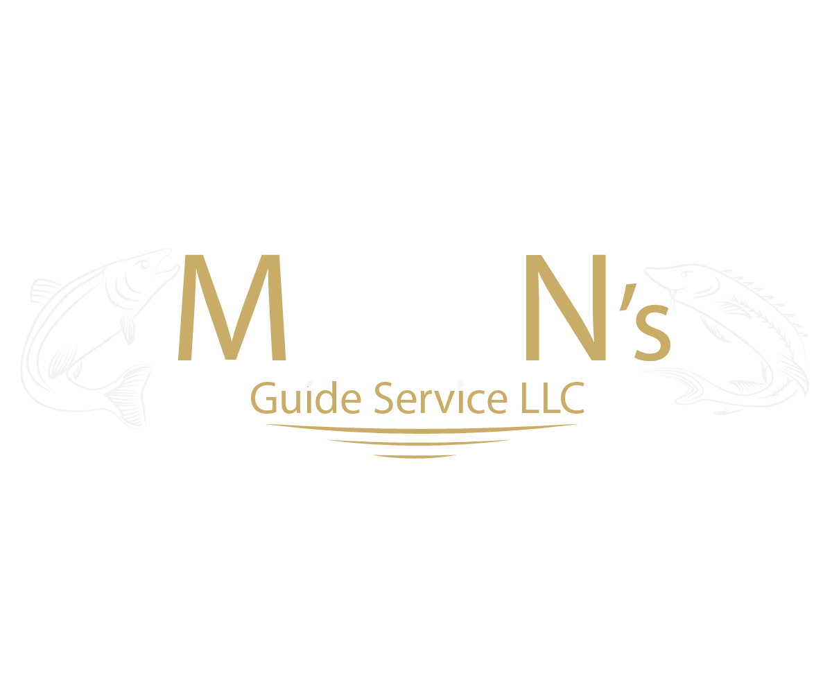 Logo Design by SyenrgyFX for this project | Design #1870864