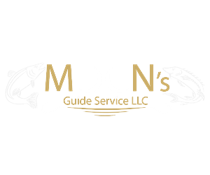 Logo Design by SyenrgyFX for this project | Design: #1870864