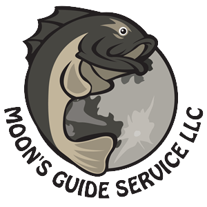 Logo Design by NeilMcKenzie for this project | Design #1810762