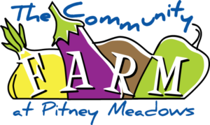 Logo Design by Susie Basso