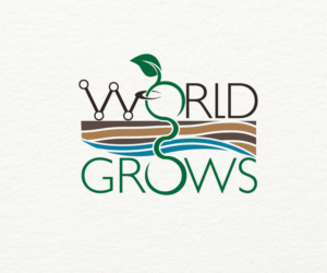 Logo Design by The Logo Island