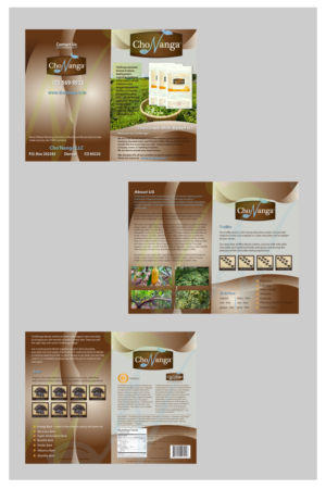 Flyer Design by T2Dezign