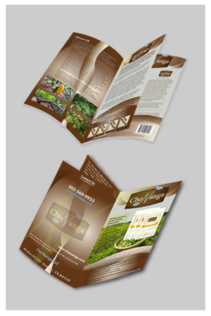 Flyer Design by T2Dezign for this project | Design #6805838
