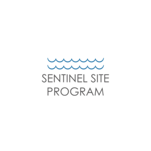 Logo Design by dii for this project | Design: #6814891