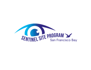 Logo Design by Jelem