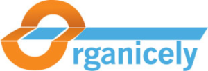 Logo Design by Diana's designs