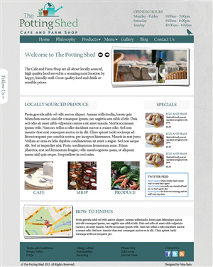Web Design by Nina Bain