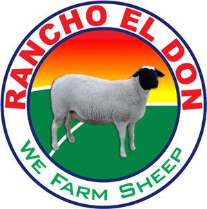 Logo Design by PARDALL for this project | Design #1756242