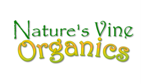 Logo Design by Mercucio