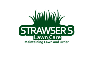 Logo Design by treeArt