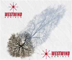 Logo Design by Can Do Design for Tyler Olson | Design: #1835320