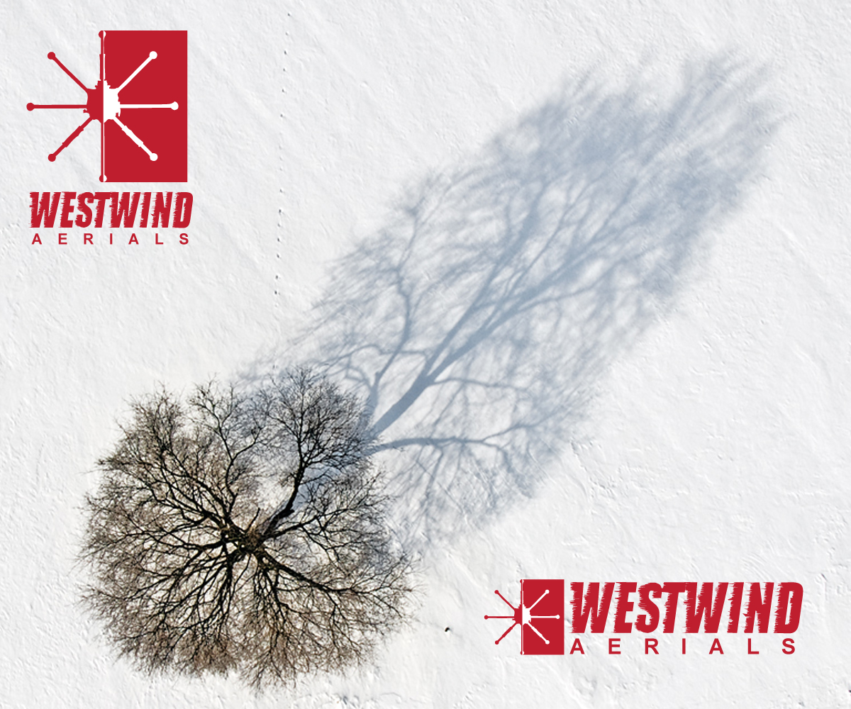 Logo Design by Can Do Design for Tyler Olson | Design #1835327