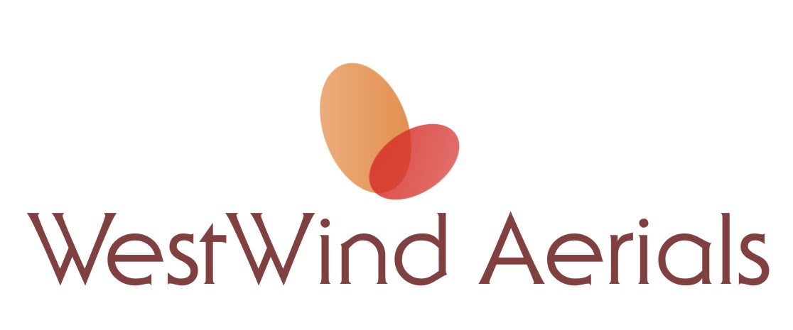 Logo Design by CJ designs for Tyler Olson | Design #1810361