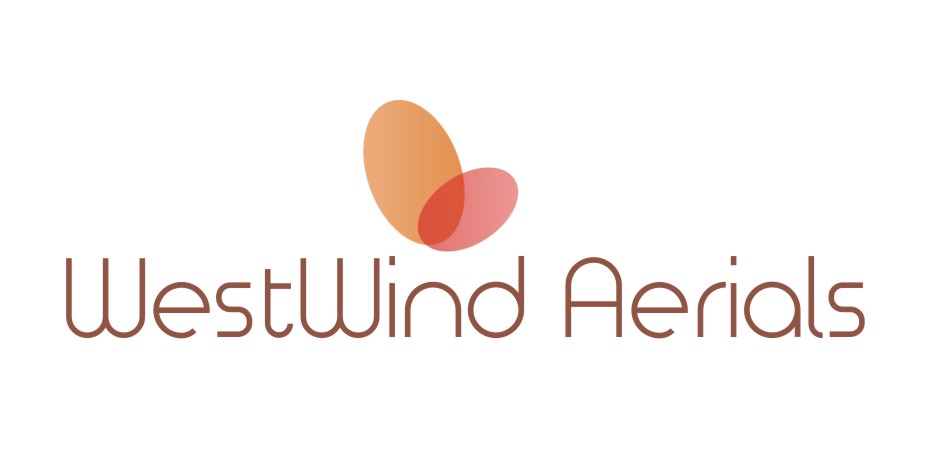 Logo Design by CJ designs for Tyler Olson | Design #1829762