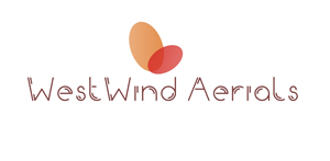 Logo Design by CJ designs for Tyler Olson | Design: #1841691