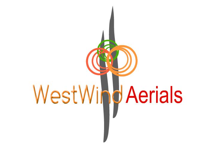 Logo Design by logotogo for Tyler Olson | Design #1812246