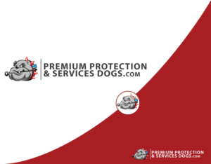 Logo Design by Designerz King