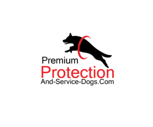 Logo Design by Akash Singh