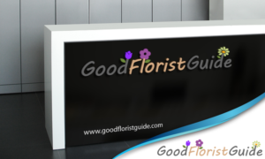 Logo Design by HiV