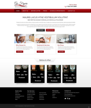 Web Design by pb for Go Figure | Design: #6741088
