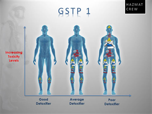 PowerPoint Design by Rieco for BODYSTRONGDNA.com | Design: #1767863