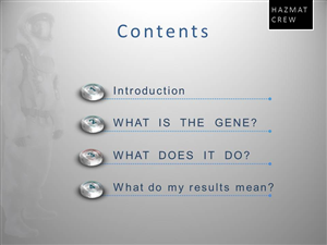 PowerPoint Design by Rieco