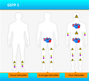 PowerPoint Design by Best Design Hub for BODYSTRONGDNA.com | Design: #1758620