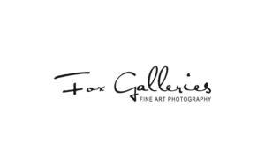 Logo Design by Turn Digital