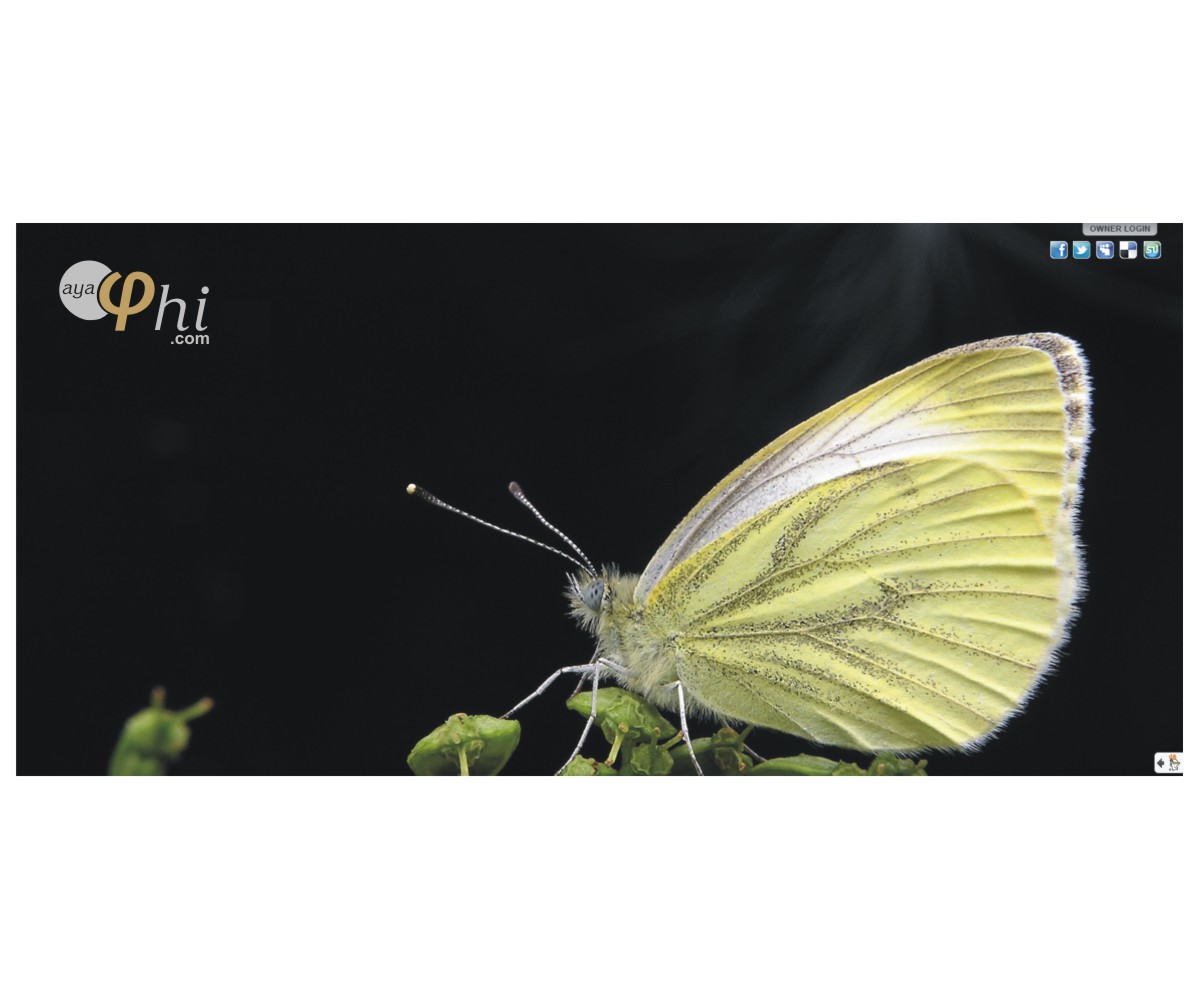 Logo Design by Navyodya for OlaPhi.com | Design #1829629