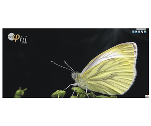 Logo Design by Navyodya for OlaPhi.com | Design: #1829629