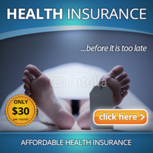 Banner Ad Design by LJŽ for FountainheadME.com | Design: #6776097