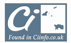Icon Design by J G for Ciinfo.co.uk | Design: #1836648